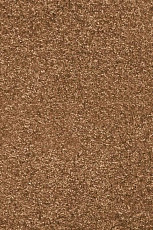 Ковролин AW Invictus Romelus 82 фото 1 | FLOORDEALER